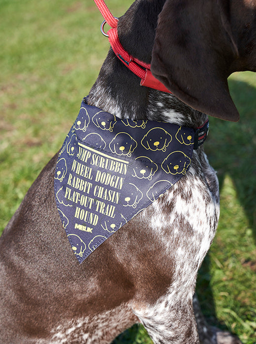 MBUK dog bandana worn by dog