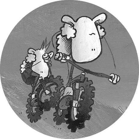 Portrait of Mint Sauce the riding sheep